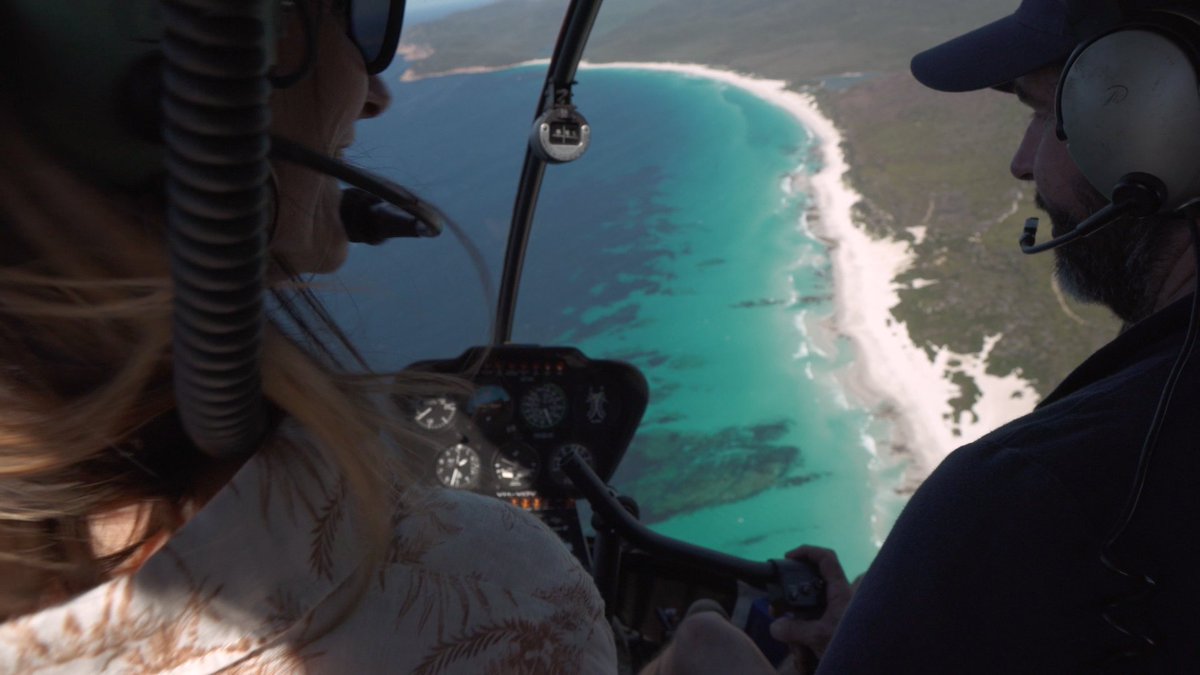 Channel 31 tweet media