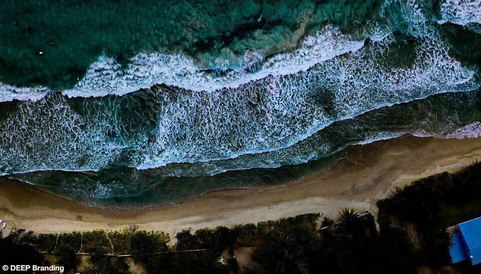 Deep_Branding's tweet photo. Elevating. https://t.co/eDYtgFyXsx
