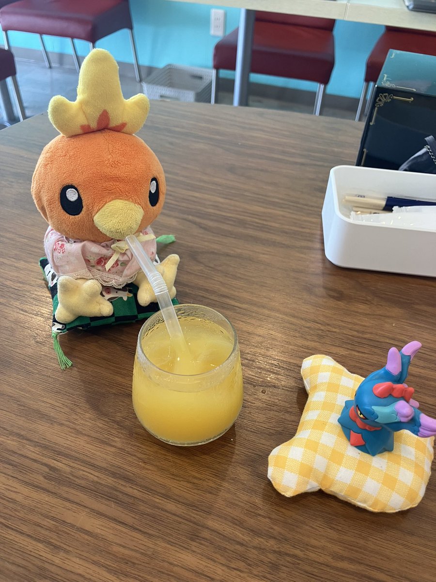 旅するアチャモ tweet media