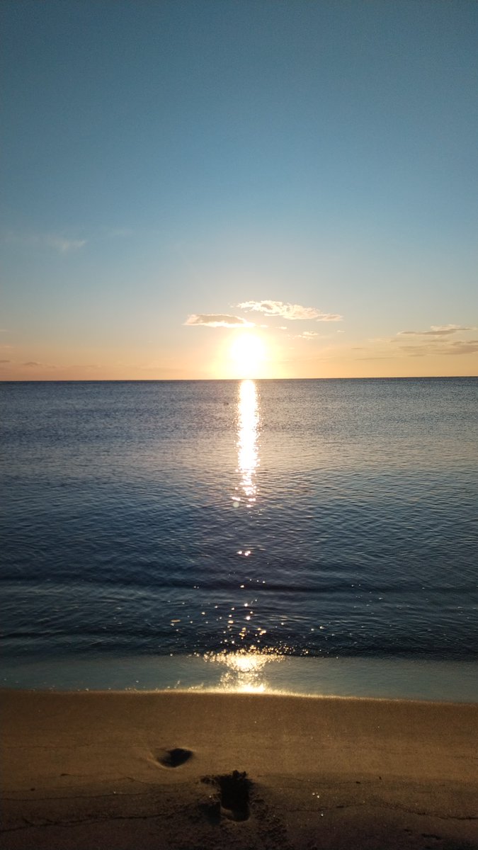 ghirigoro rogighiro tweet media