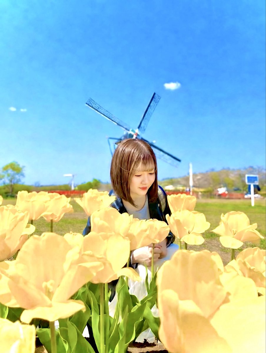 柚月彩那 tweet media