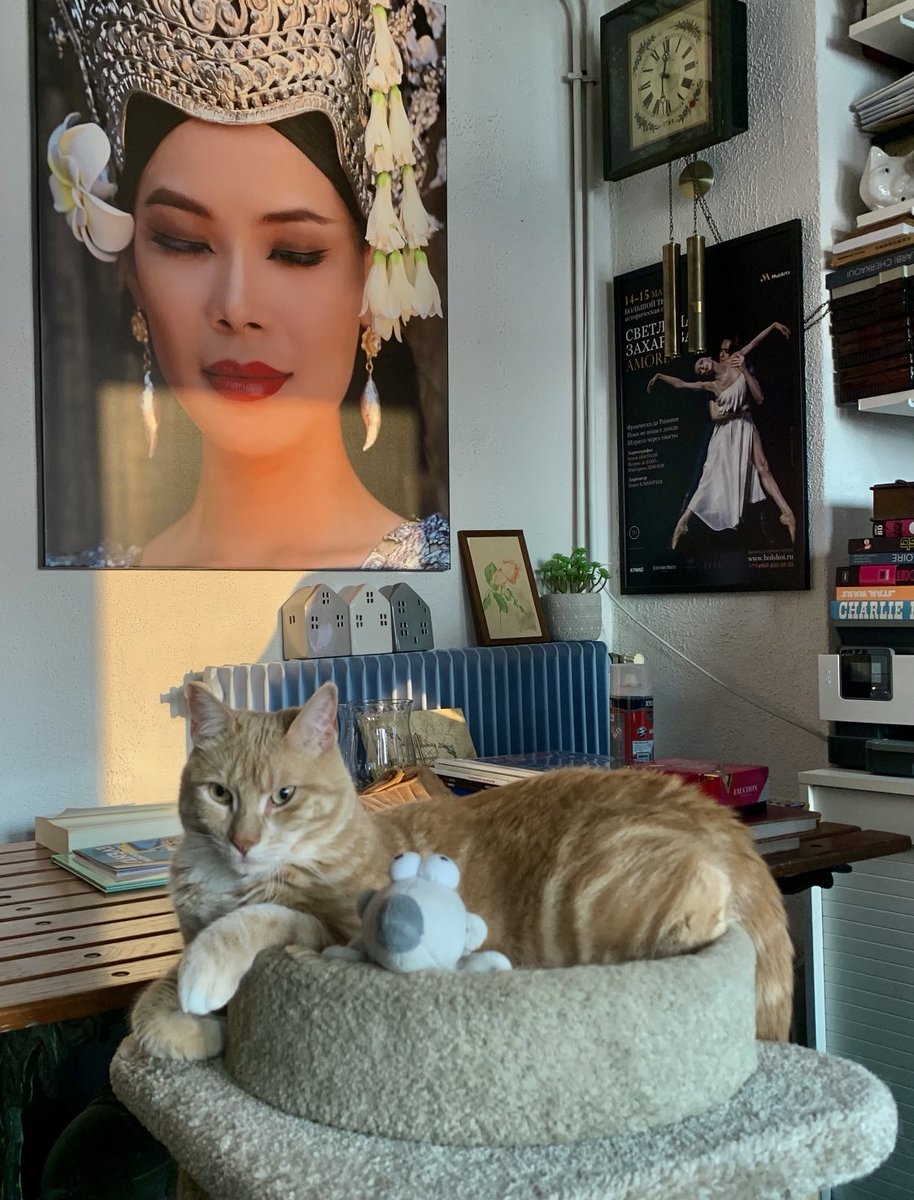 Alain Hanel tweet media