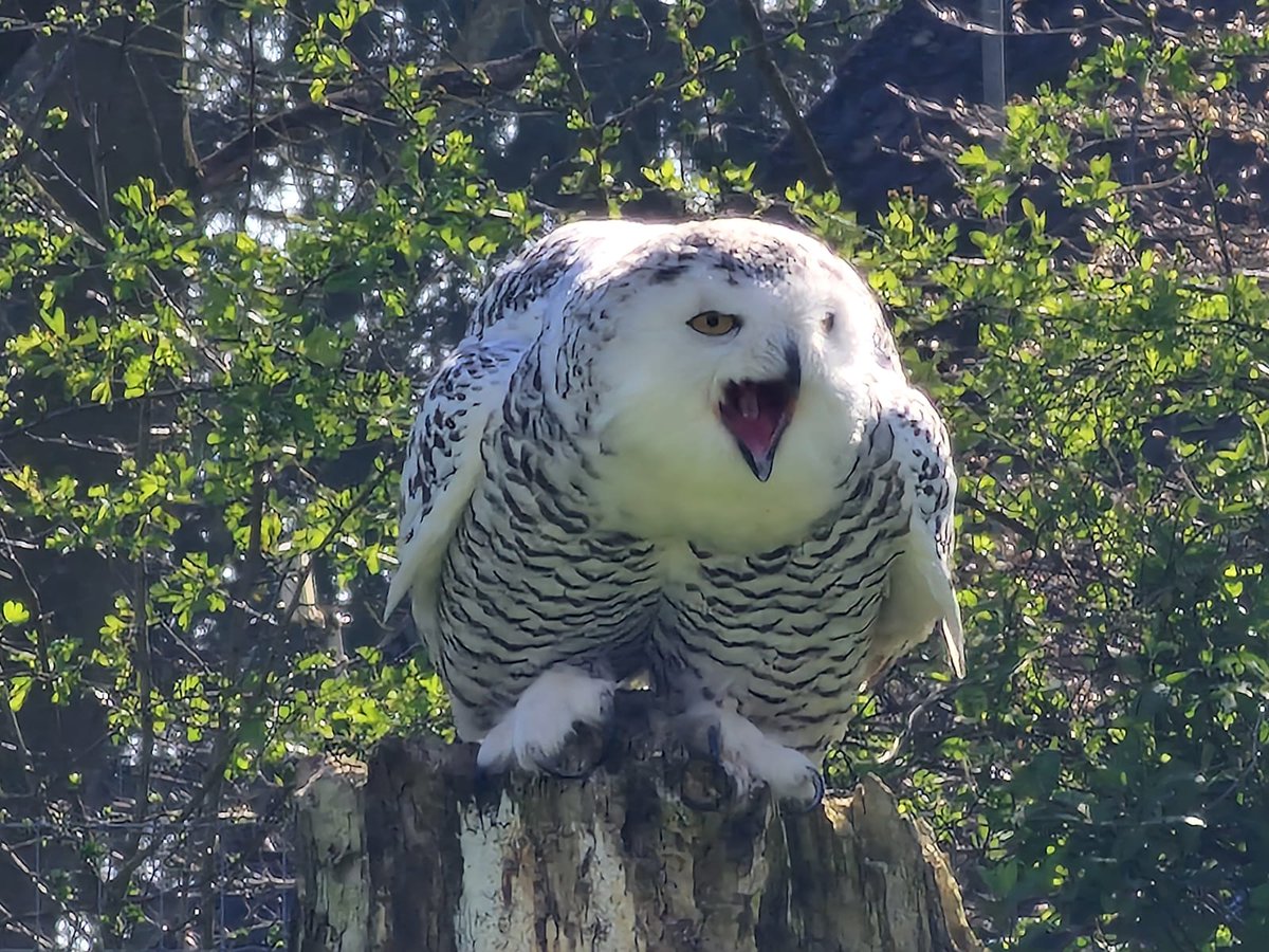 Miguel Ángel Cano Rodríguez tweet media