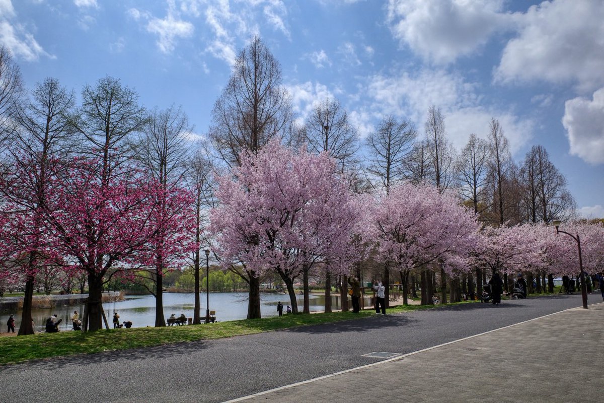 うなくーる tweet media