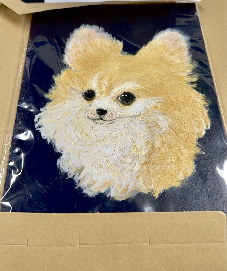 ドーン🐾 tweet media