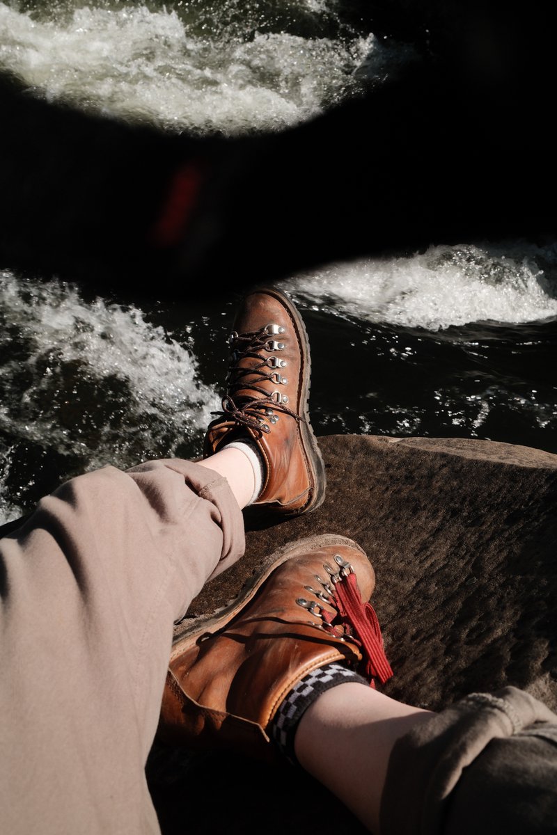 ghost Tara Faul tweet media