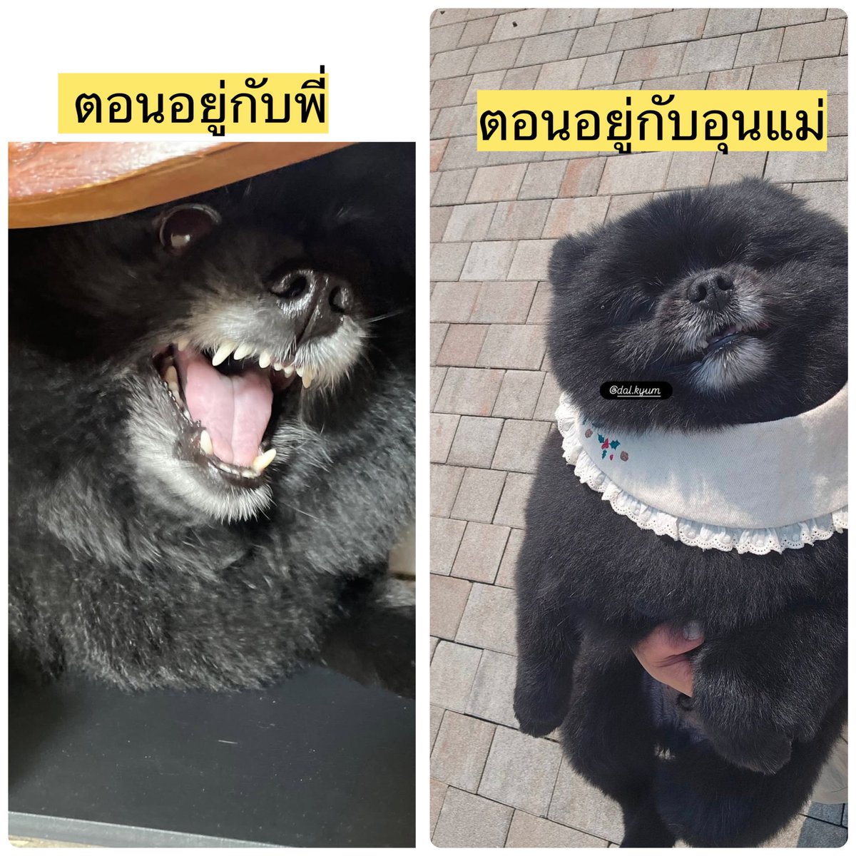 Cdz~whisper🪽❄️Yugyeomlism tweet media