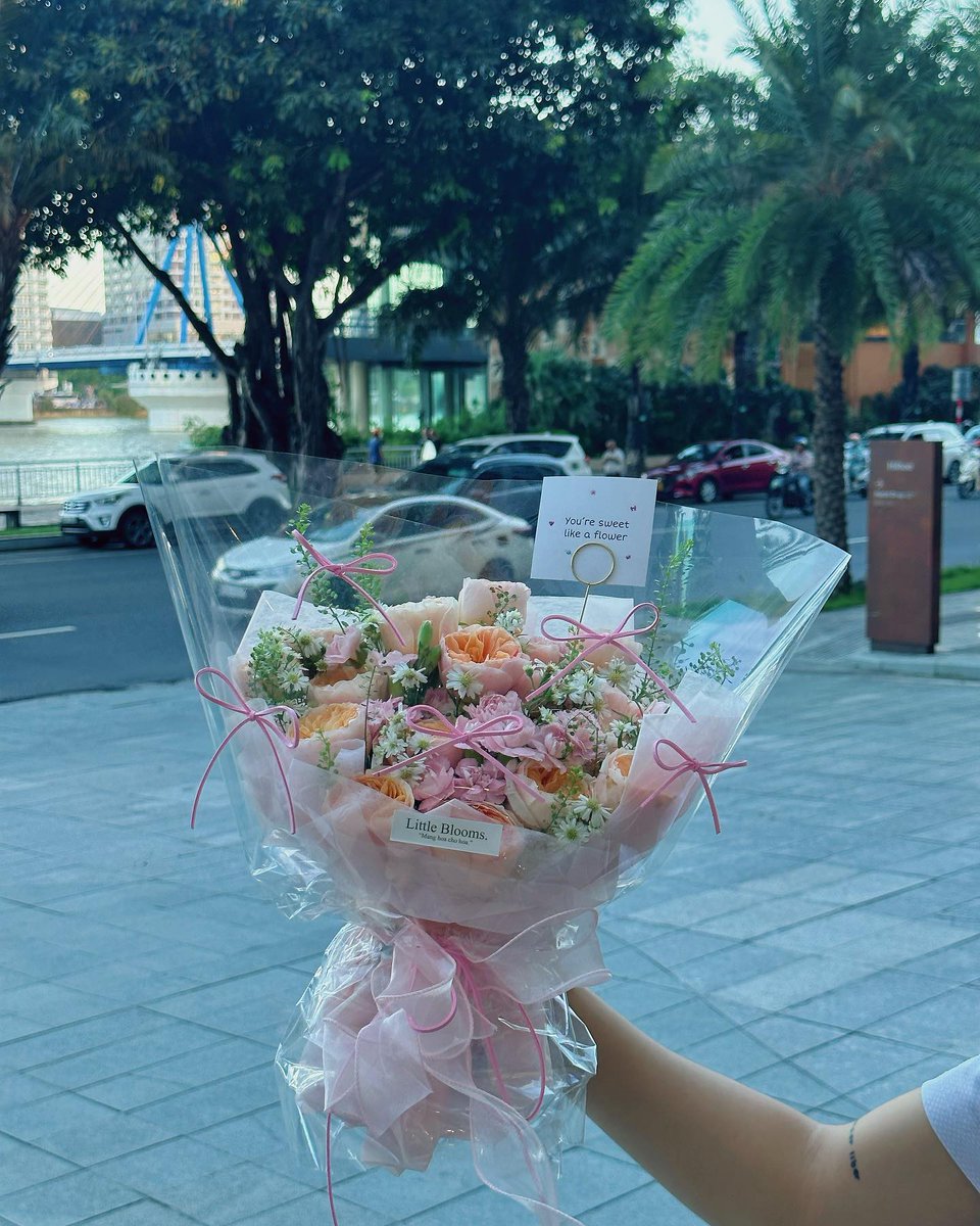 mehdi soummani tweet media