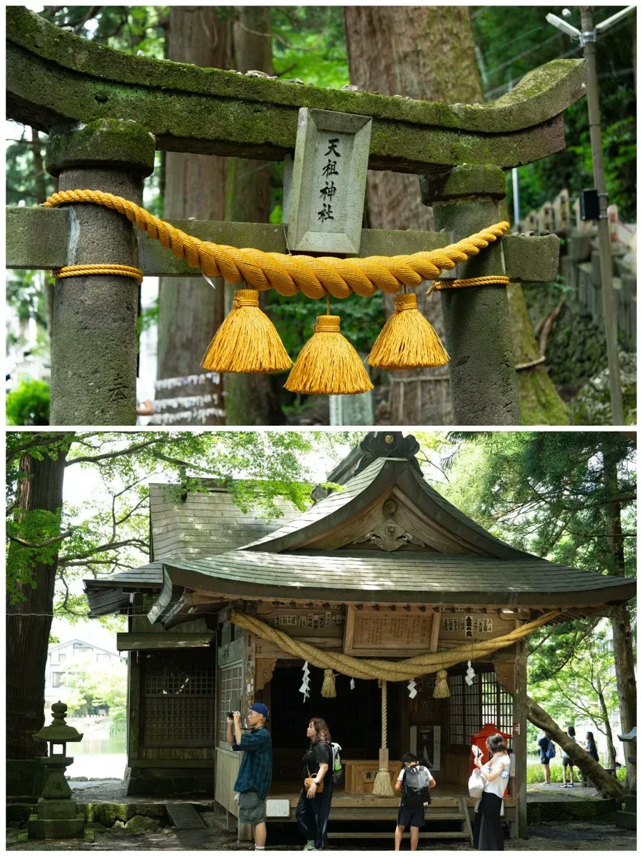 Erin Ursiny tweet media