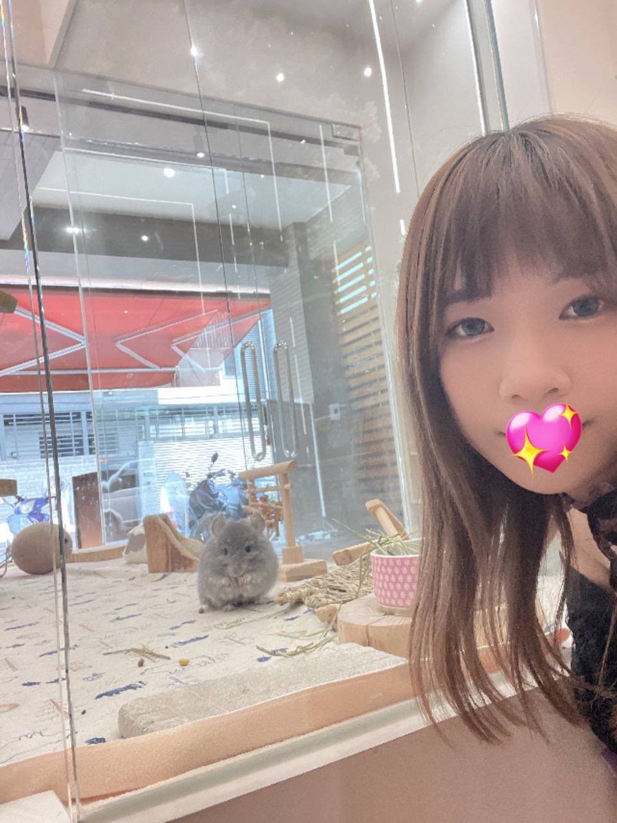 小小庫米😈 tweet media