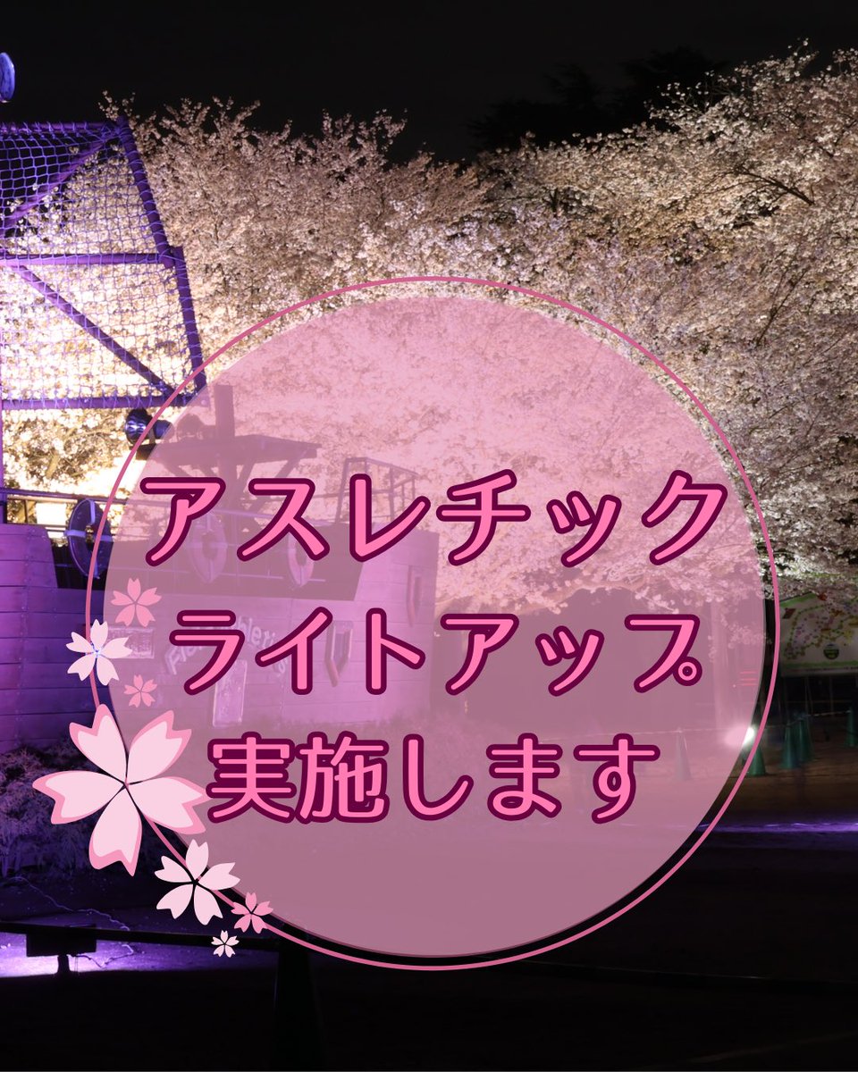 本日も日没から20時まで第一公園のしだれ桜のライトアップを行います🌸

また、本日よりフィールドアスレチックのソメイヨシノのライトアップも開始いたします！
時間は日没から20時までとなっております✨

皆さまのご来園をお待ちしております✨

#清水公園　#桜ライトアップ　#さくらまつり　#夜桜