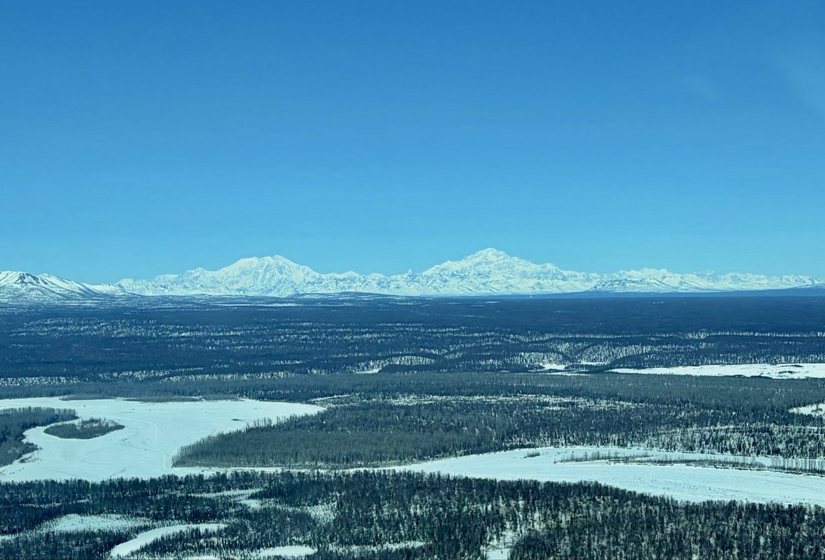 #Denali view from the Cessna 206 over the Knik Arm.  Another gorgeous day in Alaska.