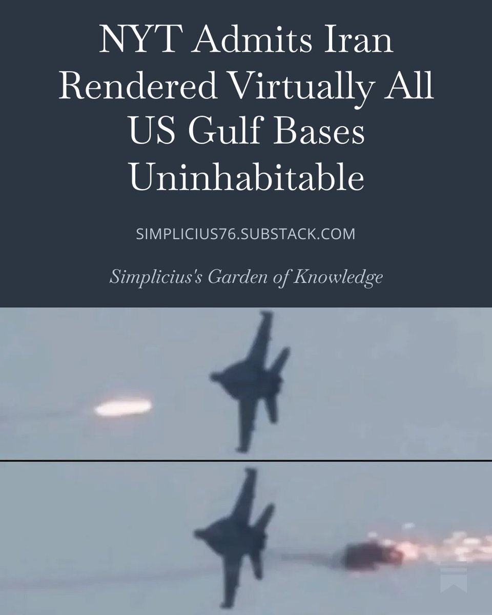 Seyed Mohammad Marandi tweet media