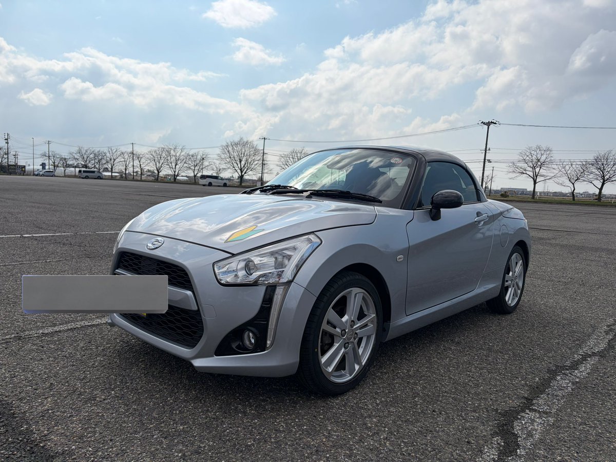 みーたん(仮) tweet media