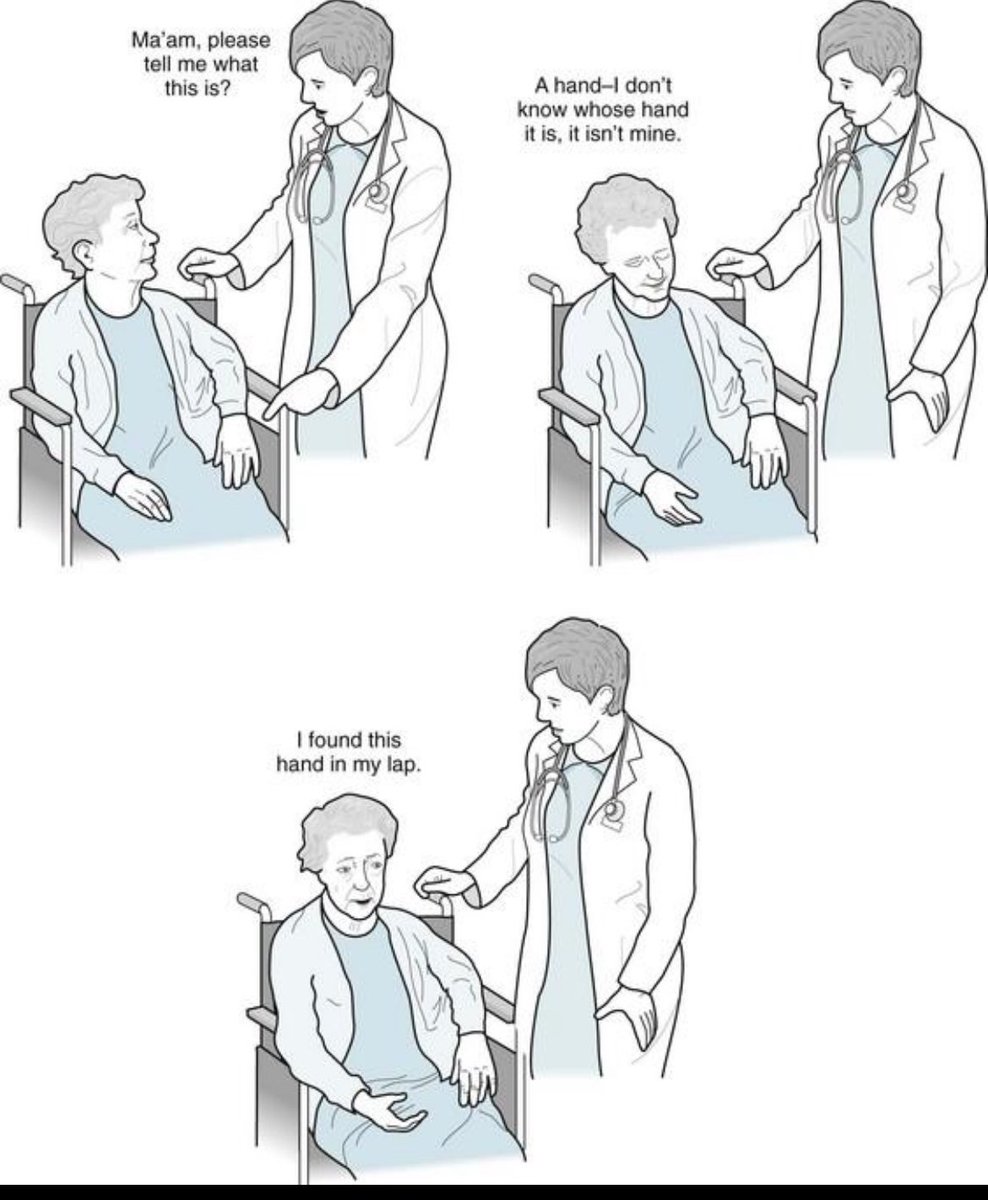 RAED ALOTAIBI tweet media