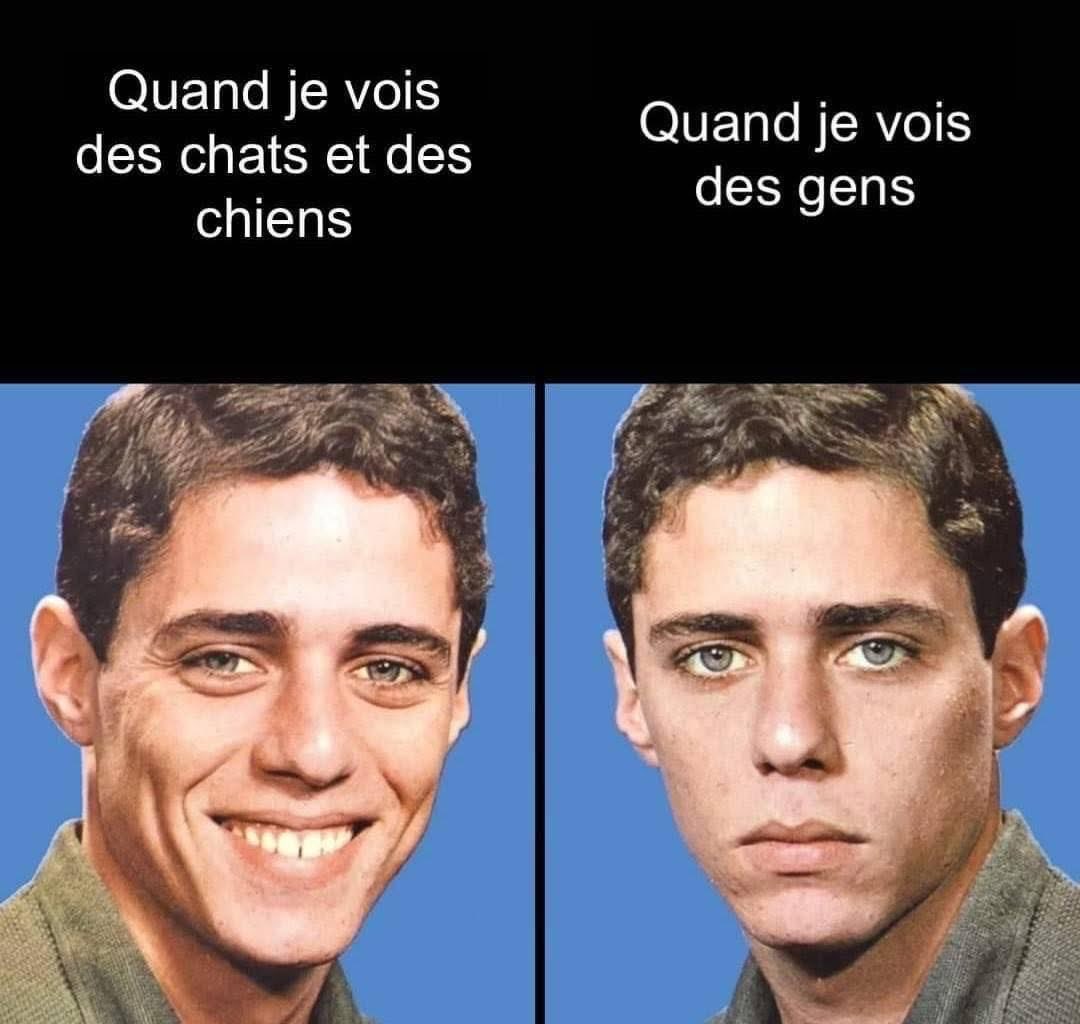 Florence CL tweet media