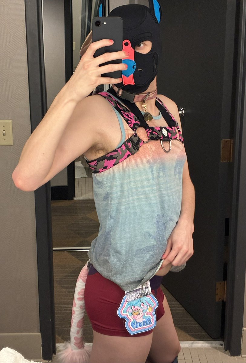 Vawski 🔜 Furlandia tweet media