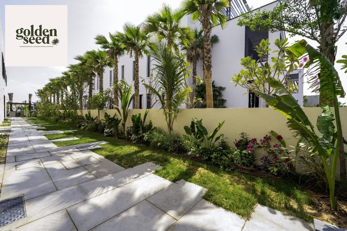GoldenSeed's tweet photo. Landscaping Services in Dubai by Golden Seed UAE

Golden Seed offers expert landscaping services in Dubai and across the UAE. As a trusted landscape company, we design and build stunning outdoor spaces for homes, villas, and commercial properties. https://t.co/bGflQQHTfi