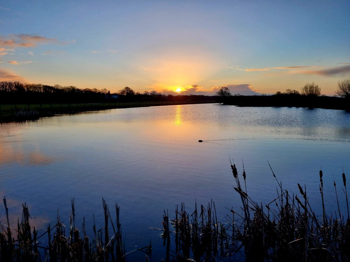 Tjark Dieterman tweet media