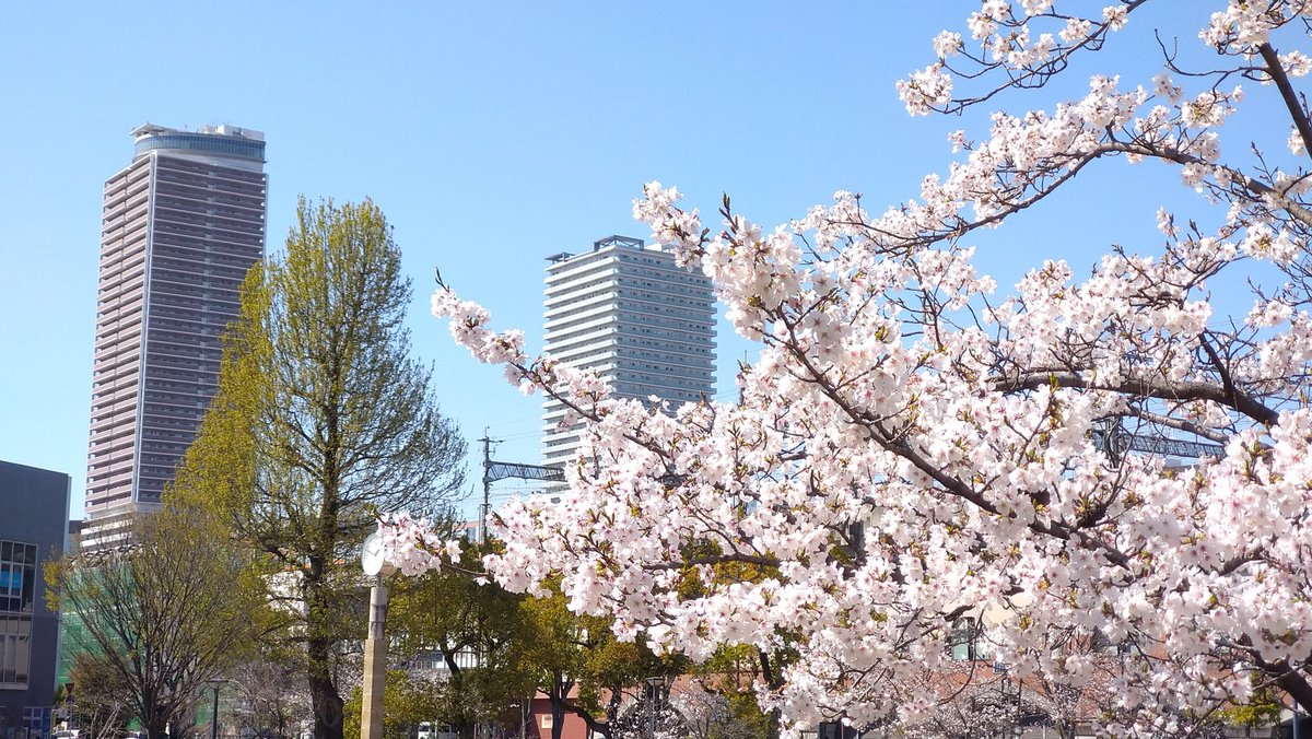 🌏 シ"→コ ☀ tweet media