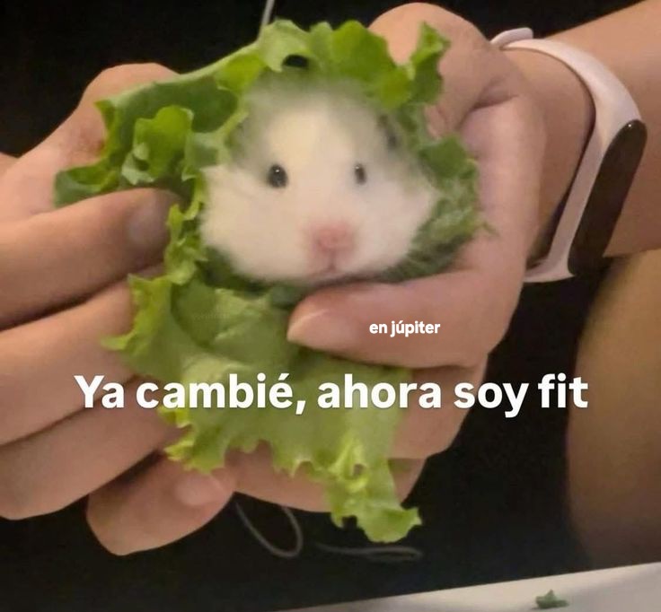 En Júpiter tweet media