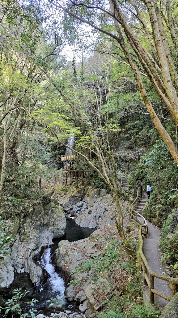 주로먹는사람 tweet media