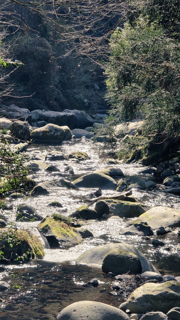 주로먹는사람 tweet media