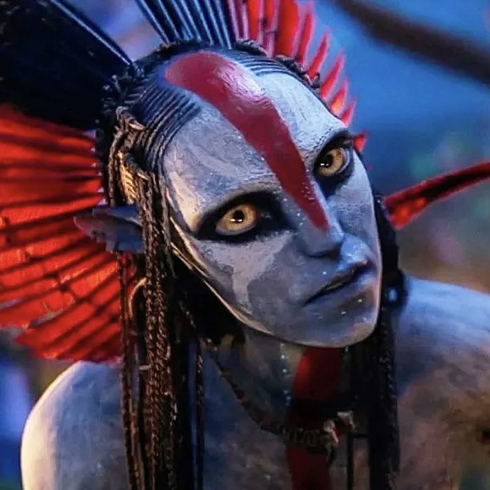 daily tsireya tweet media