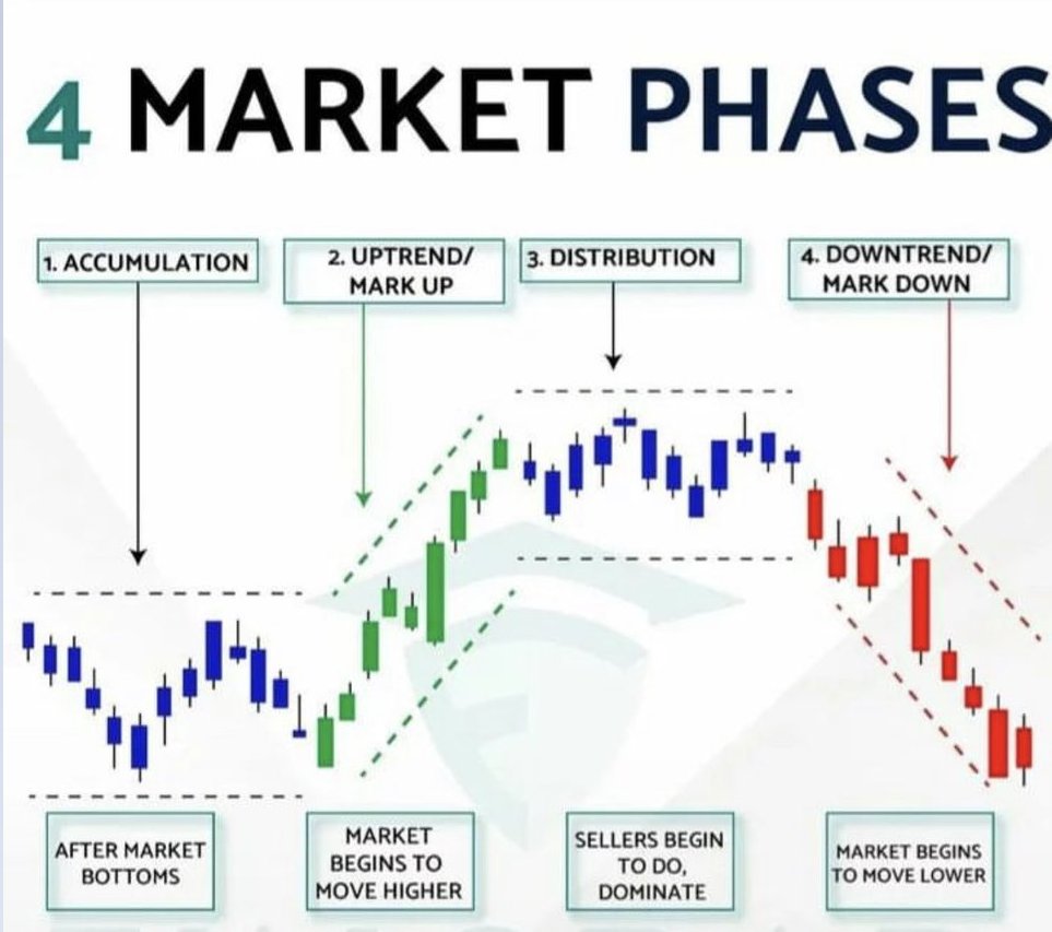 ⚡Shane_S⚡ tweet media