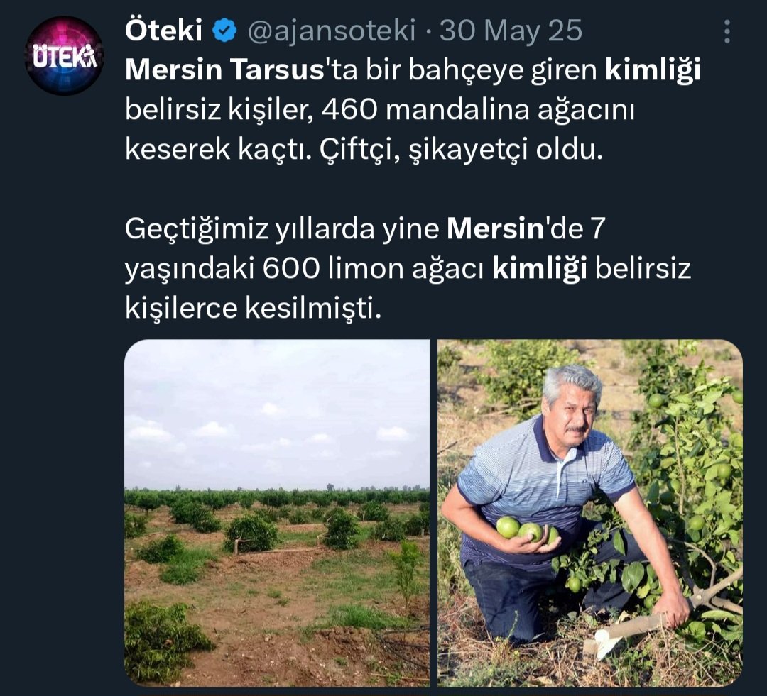 Begüm tweet media