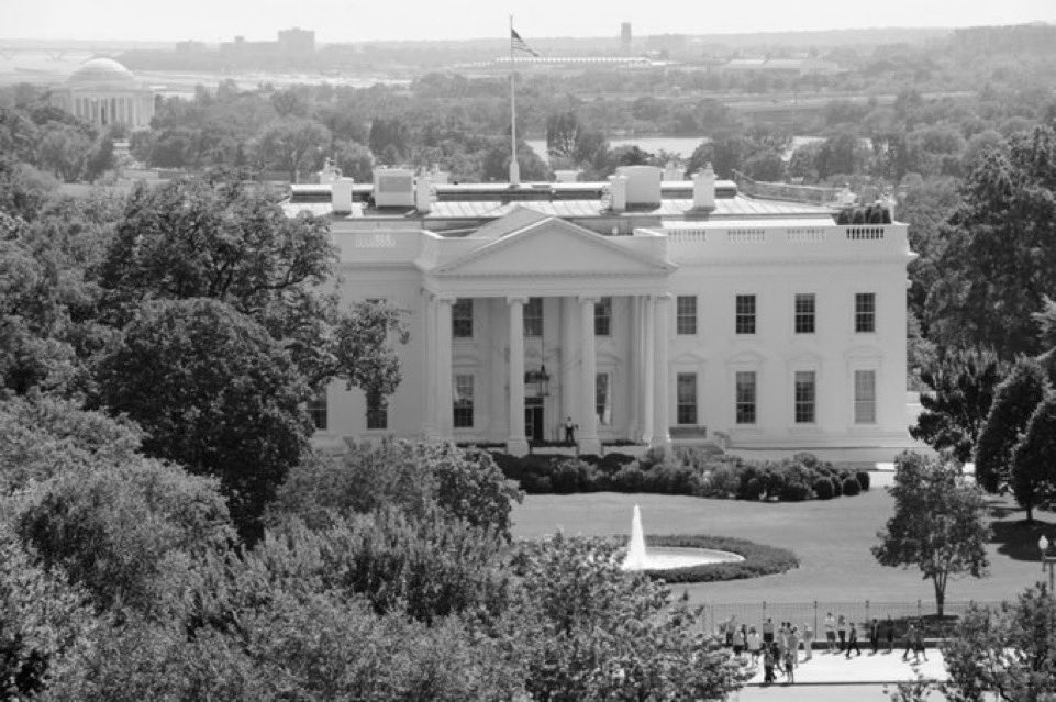 تمرة • tmrrah tweet media