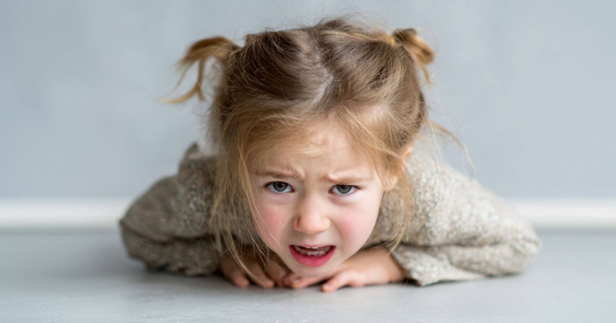 Ser Padres tweet media