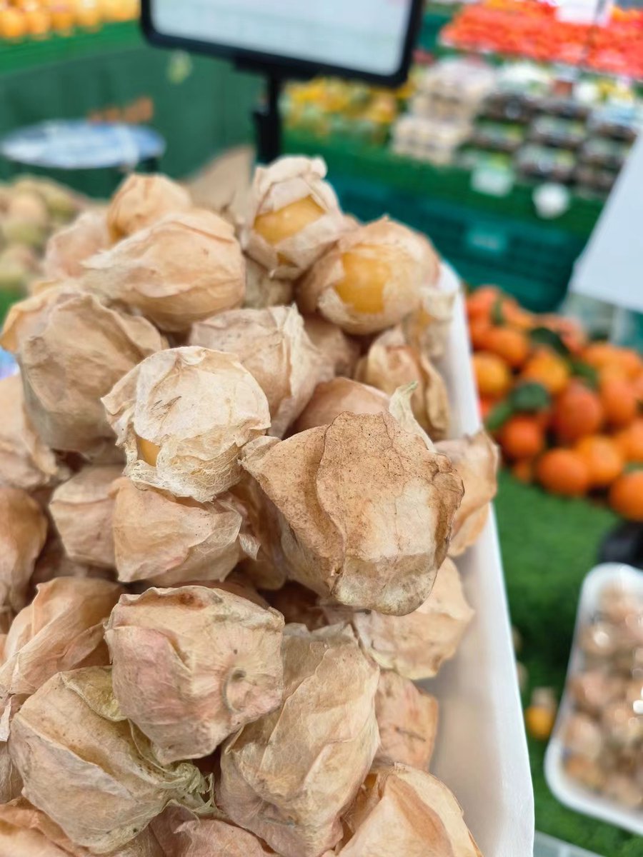 Dothe Worm tweet media