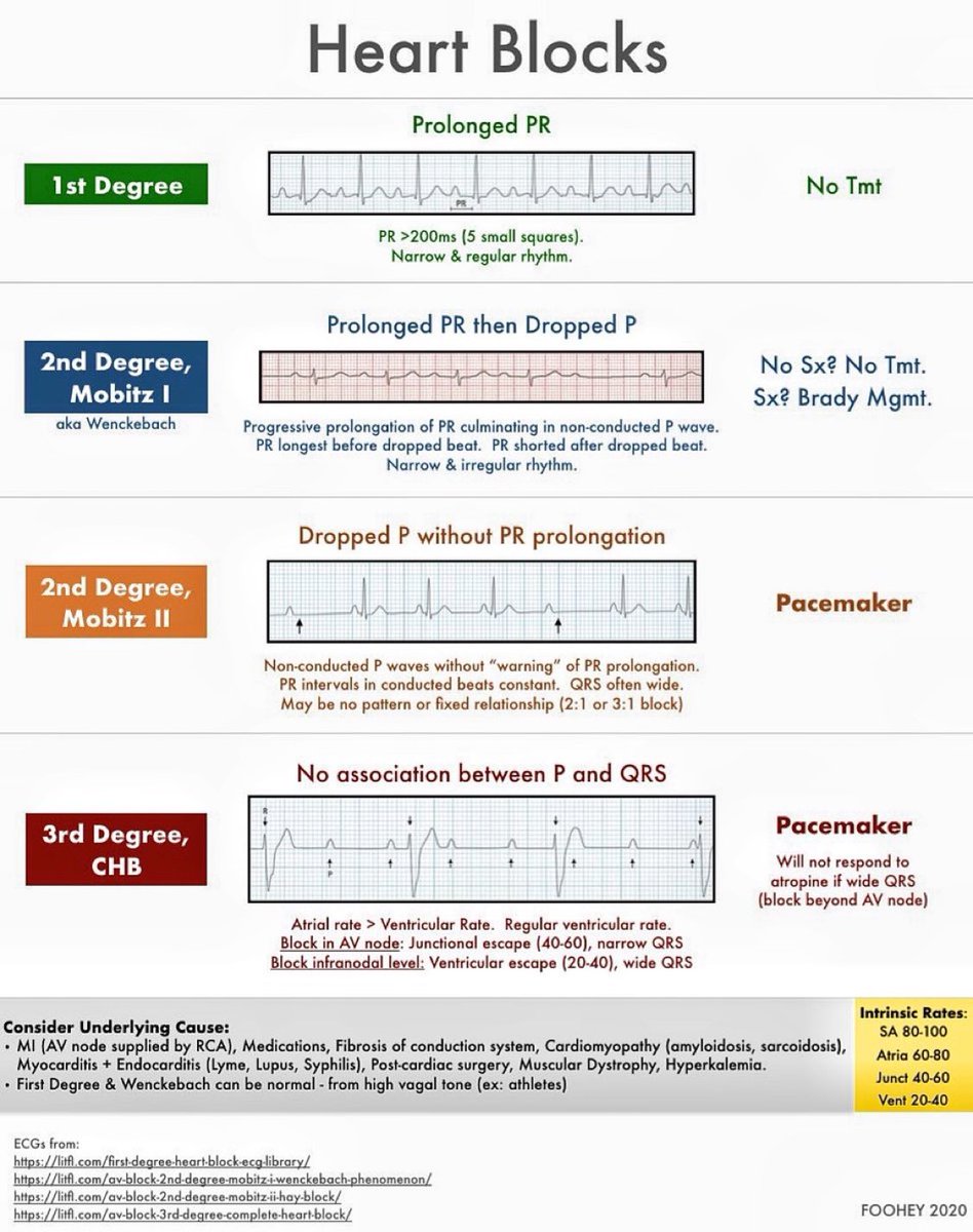 CardiovascularCorner tweet media