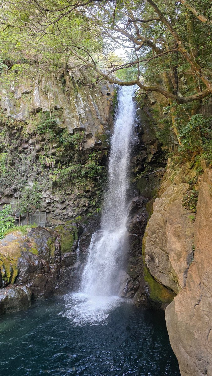 주로먹는사람 tweet media