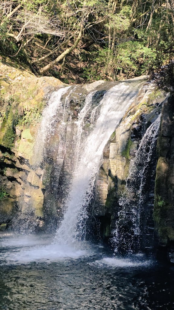 주로먹는사람 tweet media