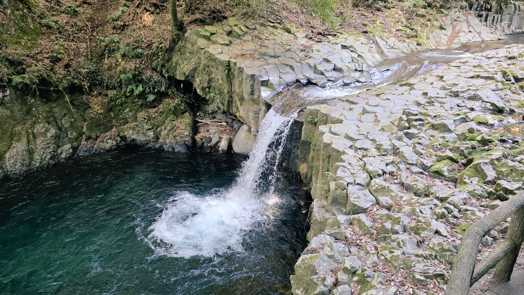 주로먹는사람 tweet media