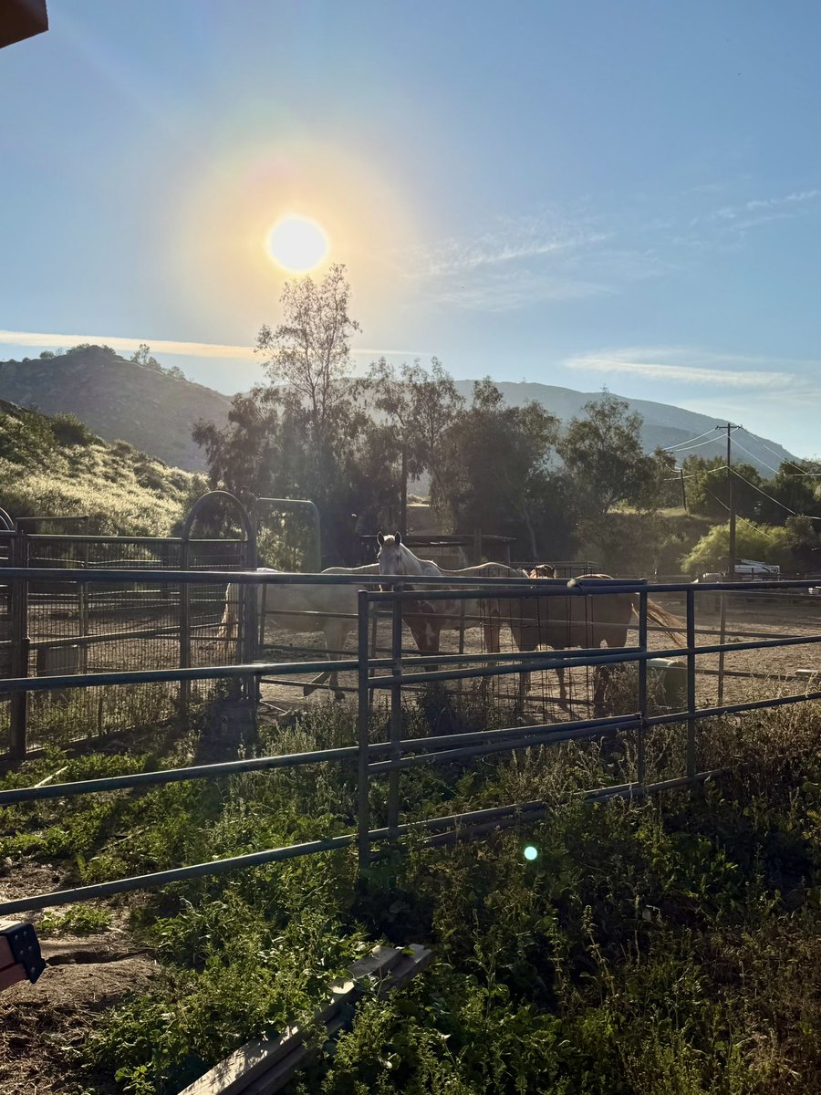 Ryan Satin tweet media