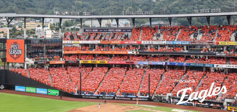 배지헌 tweet media