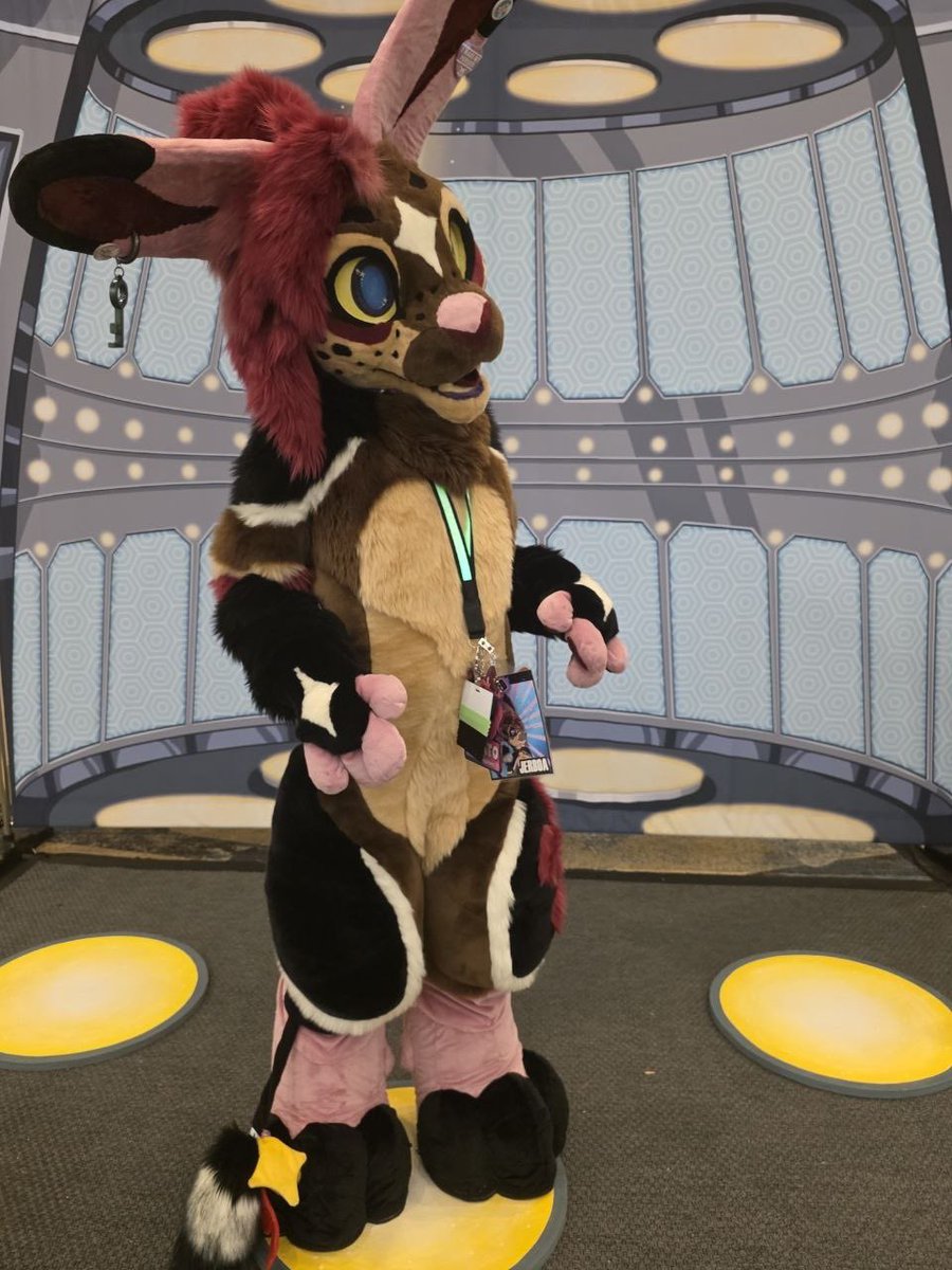 ✨Robotic Creature✨@TFF26 tweet media