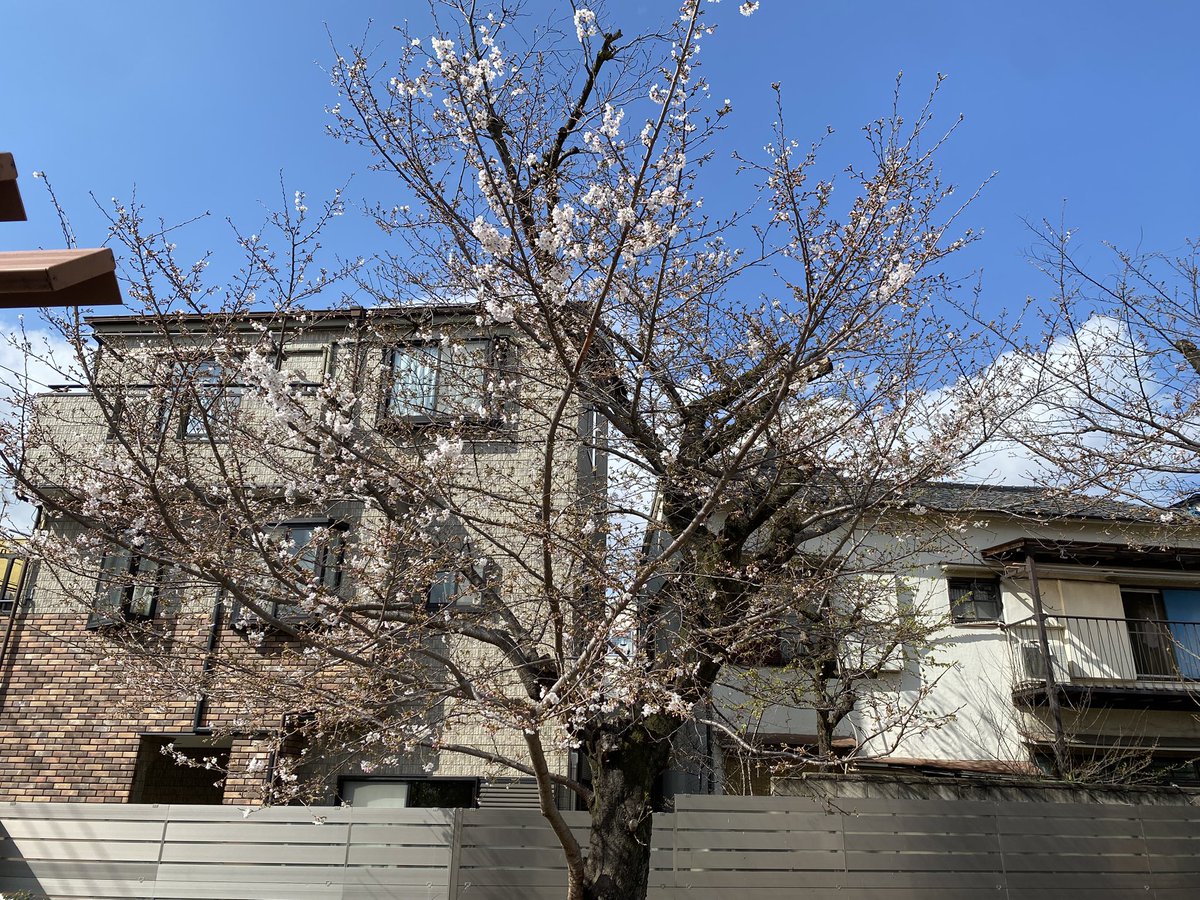 シャニお tweet media