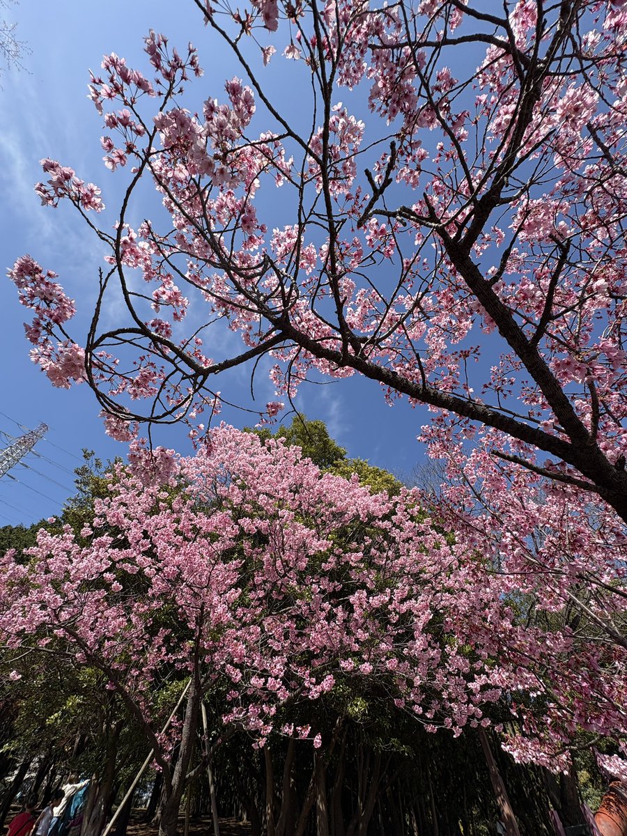 ハピネスねえさん@新刊3/20発売 tweet media