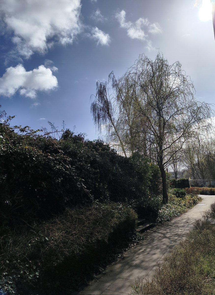 Lutzivdoehren 😎😊 tweet media