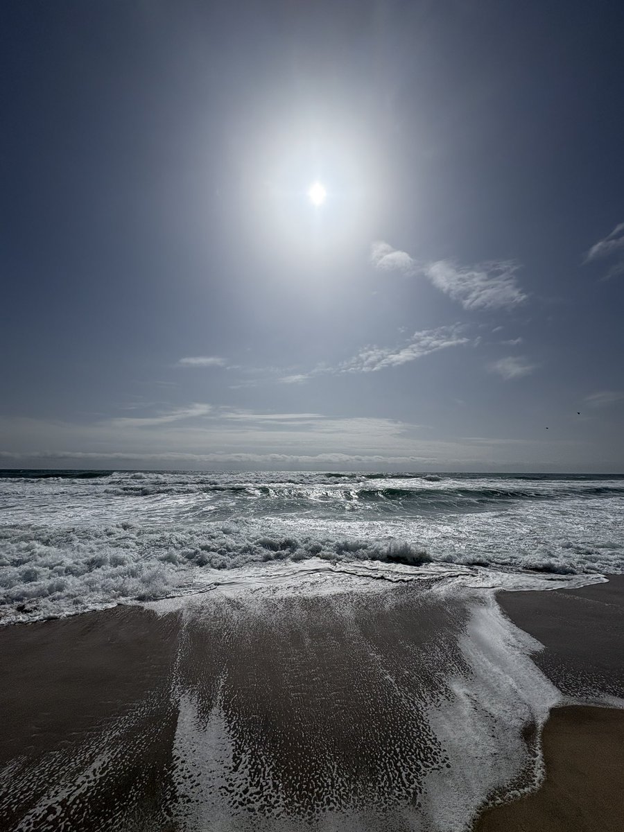 アキブン tweet media