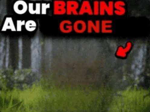 ⛥Mars ☭ tweet media