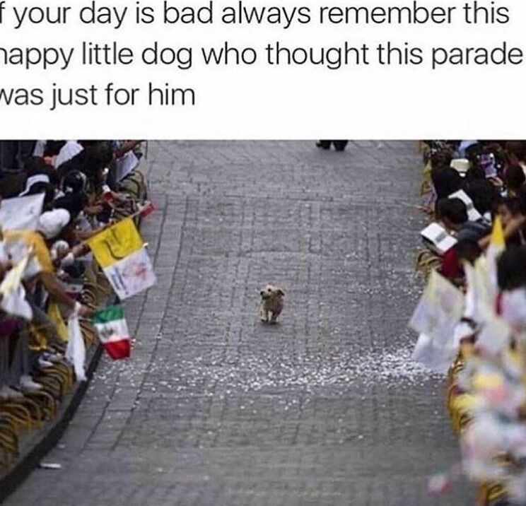WholesomeMemes tweet media