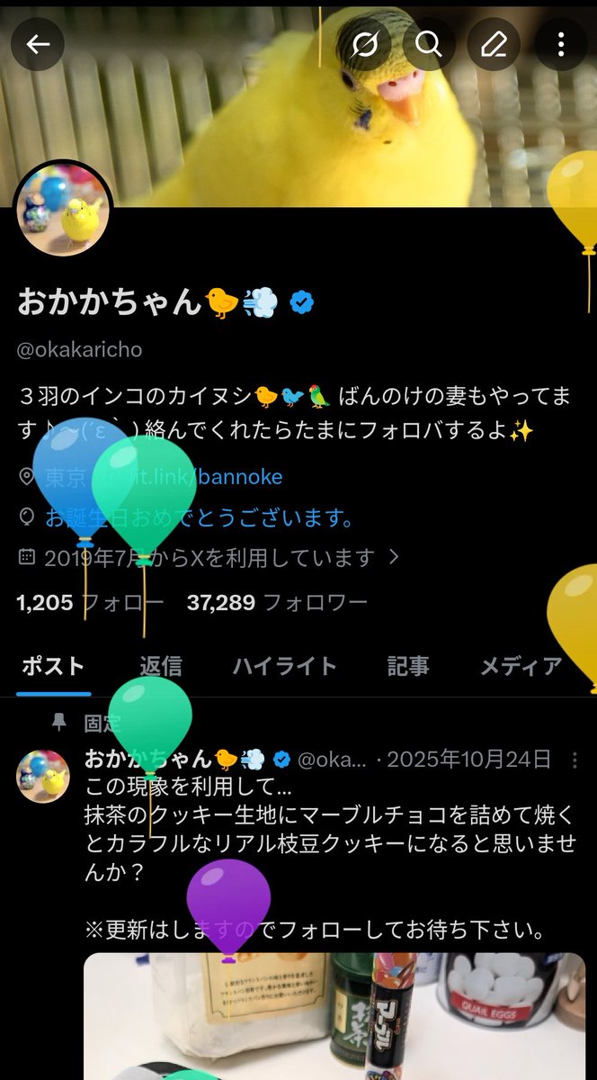 おかかちゃん🐤💨 tweet media