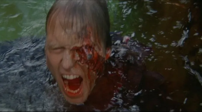 𝚋𝚛𝚘𝚠𝚜𝚎 𝚑𝚘𝚛𝚛𝚘𝚛🦇 tweet media