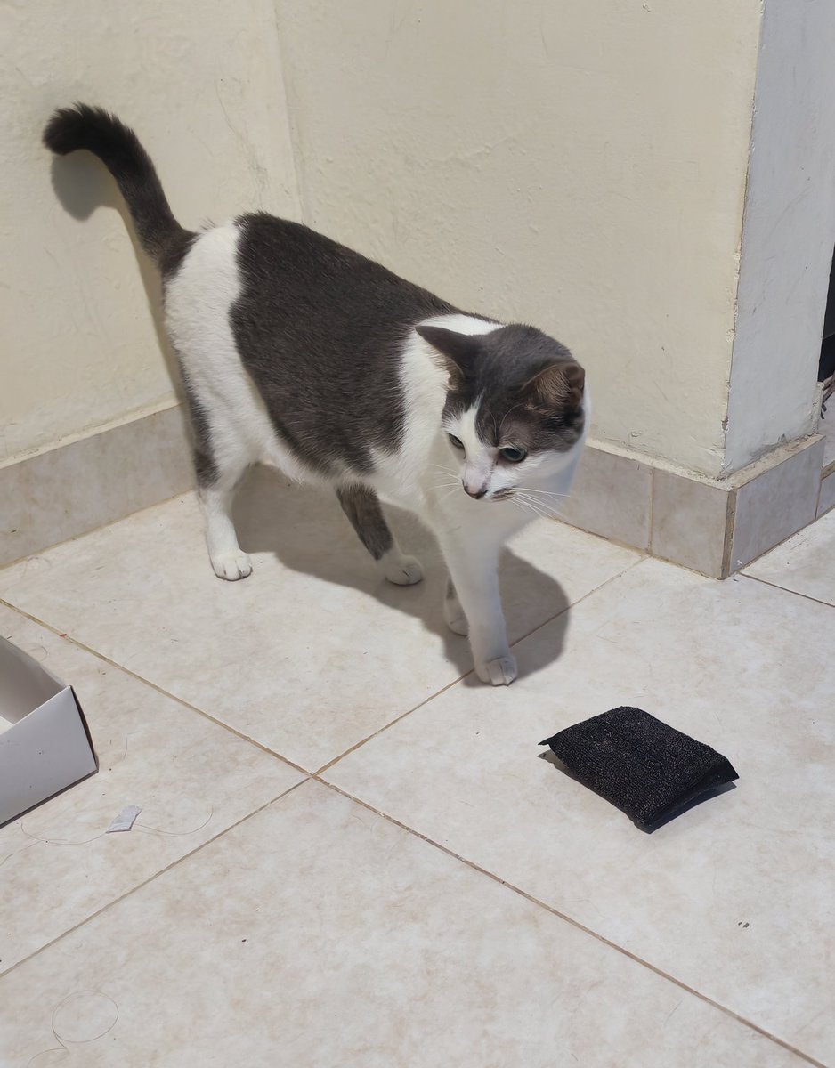 𝖏𝖚𝖕𝖎𝖙𝖊𝖗⁷ tweet media