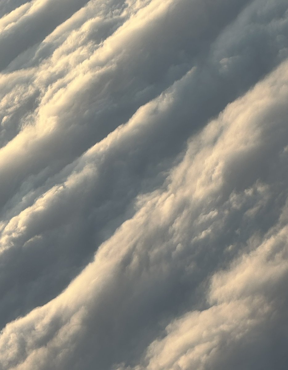 Swati Chakraborty | photosbyswati.eth tweet media